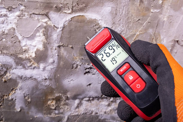 Best Residential Mold Removal  in Mountain Lake Park, MD